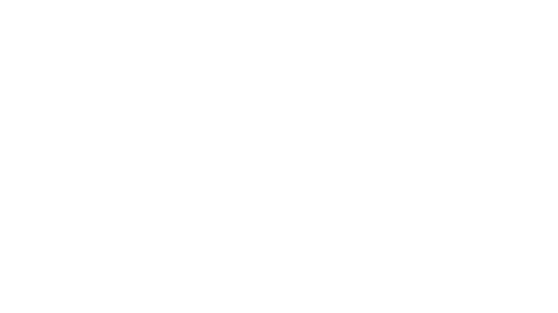 2600+ experter
